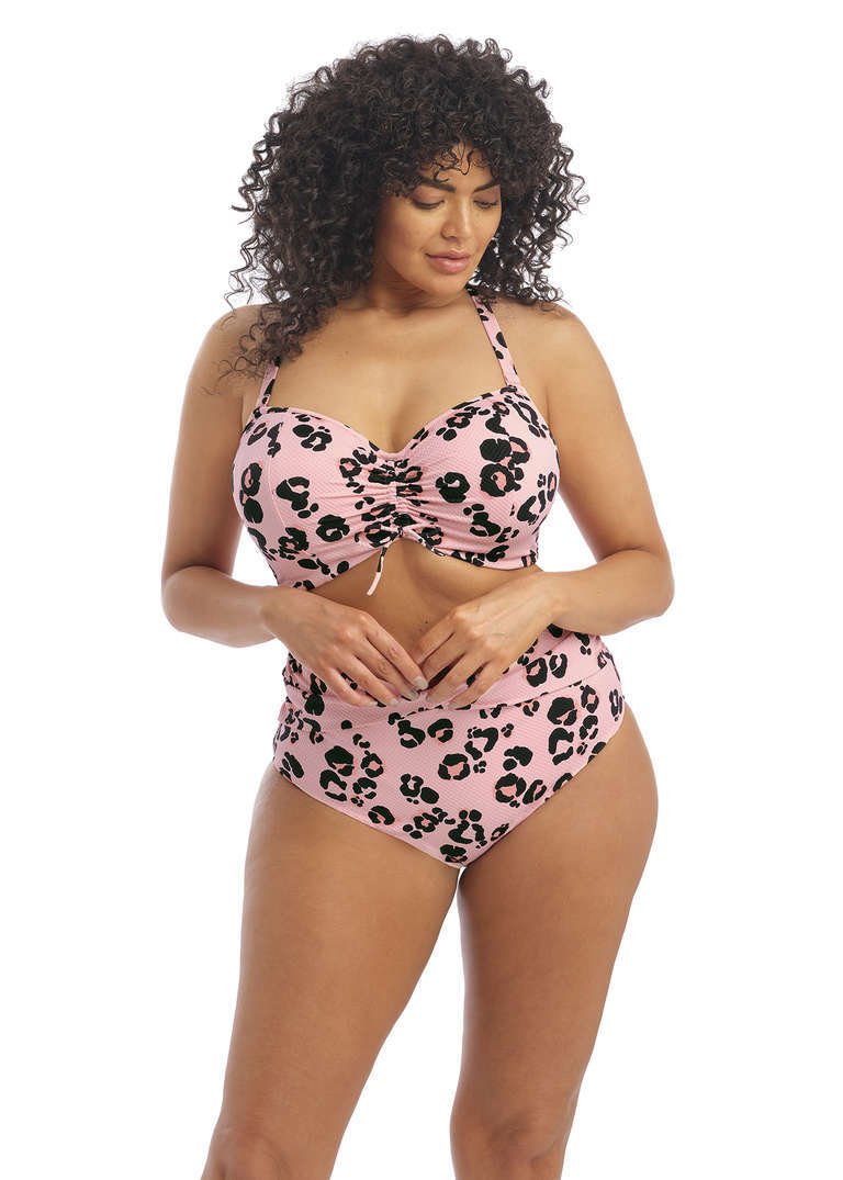 Elomi Swimwear and Plus Size Swimsuits, Free Shipping