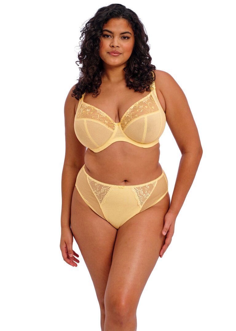 Figi Elomi CHARLEY EL4386LEZ High Leg Brief Lemon Fizz