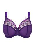 Biustonosz Elomi CHARLEY EL4380LEZ Uw Plunge Bra Lemon Fizz