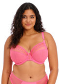 Biustonosz Elomi MATILDA EL8900WIY Uw Plunge Bra Wild Cherry