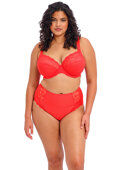 Figi Elomi CHARLEY EL4388SAL Full Brief Salsa