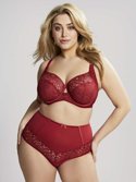 Figi Sculptresse by Panache ESTEL 9684 High Waist Pant Raspberry