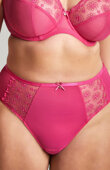 Figi Sculptresse by Panache HARMONY 10834 Brief Hot Pink