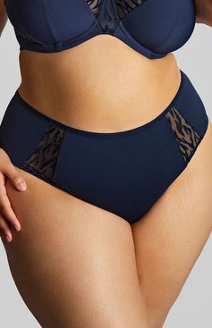 Figi Sculptresse by Panache ALEXA 11108 Deep Brief Navy