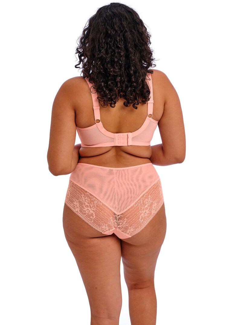 Figi Elomi KENDRA EL301651RUD Full Brief Rose Bud