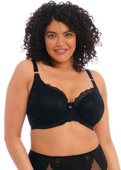 Biustonosz Elomi BRIANNA EL8081BLK Uw Padded Half Cup Bra Black