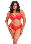 Biustonosz Elomi CHARLEY EL4380SAL Uw Plunge Bra Salsa