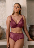 Figi Fantasie FUSION LACE FL102350ROW Brief Rosewood