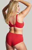 Figi Sculptresse by Panache BLISS 10684 Deep Pant Salsa Red