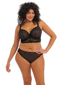 Figi Elomi CHARLEY EL4385BLK Brazilian Black 