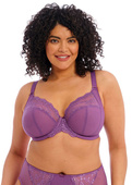 Biustonosz Elomi CHARLEY EL4382PAY Uw Plunge Bra - Stretch Pansy