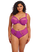 Figi Elomi MATILDA EL8906HOC Full Brief Hollyhock