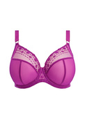 Biustonosz Elomi MATILDA EL8900HOC Uw Plunge Bra Hollyhock