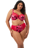 Figi Elomi MORGAN EL4118BEH High Leg Brief Berry Crush