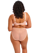 Figi Elomi CHARLEY EL4386BAK High Leg Brief Ballet Pink 