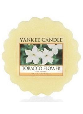 Wosk zapachowy Yankee Candle Tobacco Flower