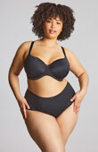 Figi Sculptresse by Panache ELEGANCE 10404 Midi Brief Noir